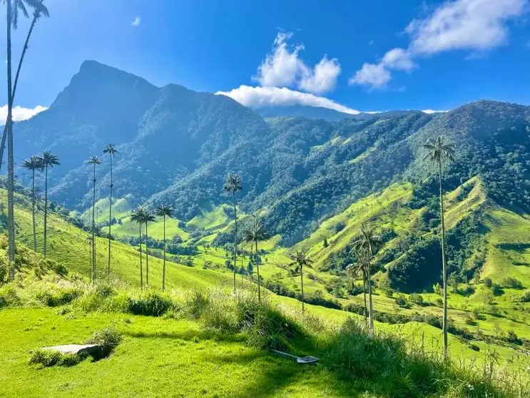 Senderismo en el valle del cocora